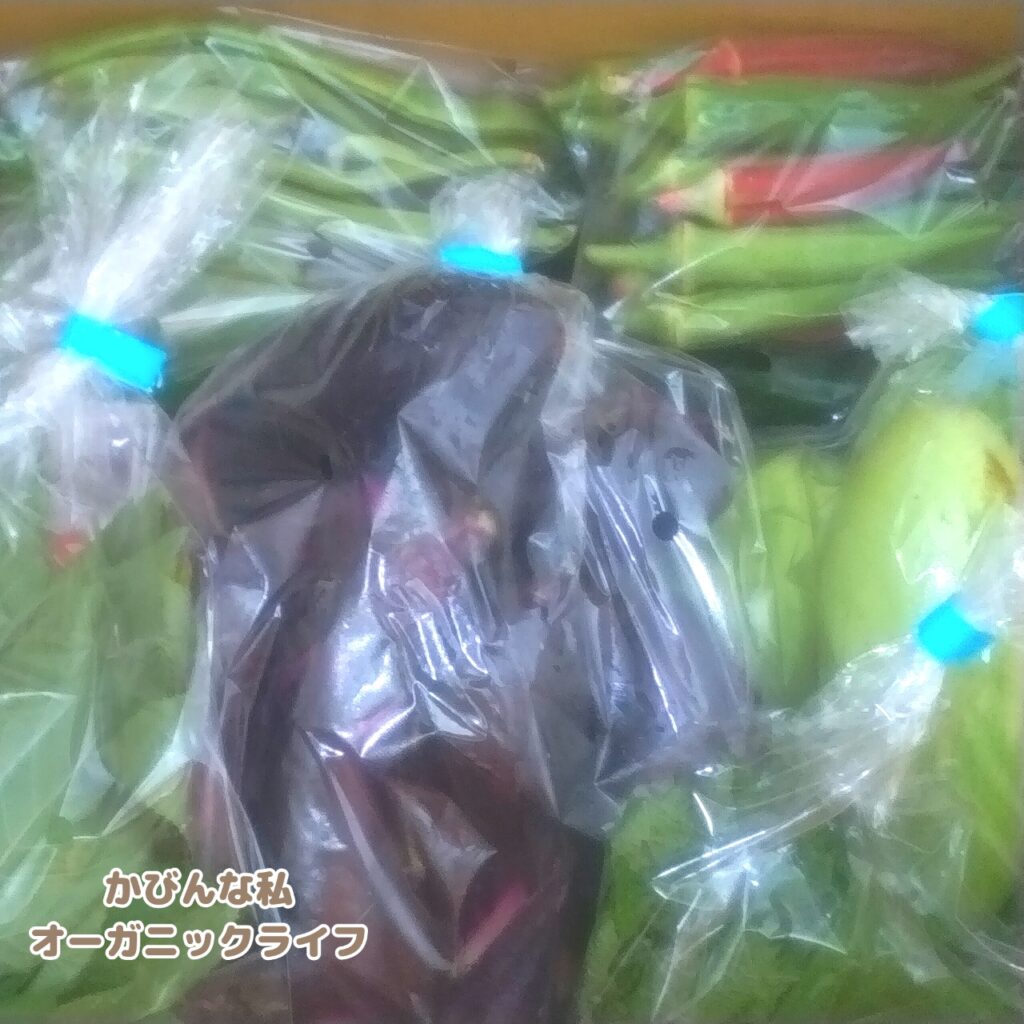 自然栽培・有機栽培(オーガニック)の野菜セットの箱を開けた様子。