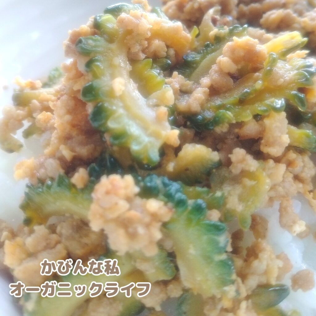丼にご飯を盛ってゴーヤとひき肉の甘辛みりん醤油炒めをうえに盛り付けたら出来上がり